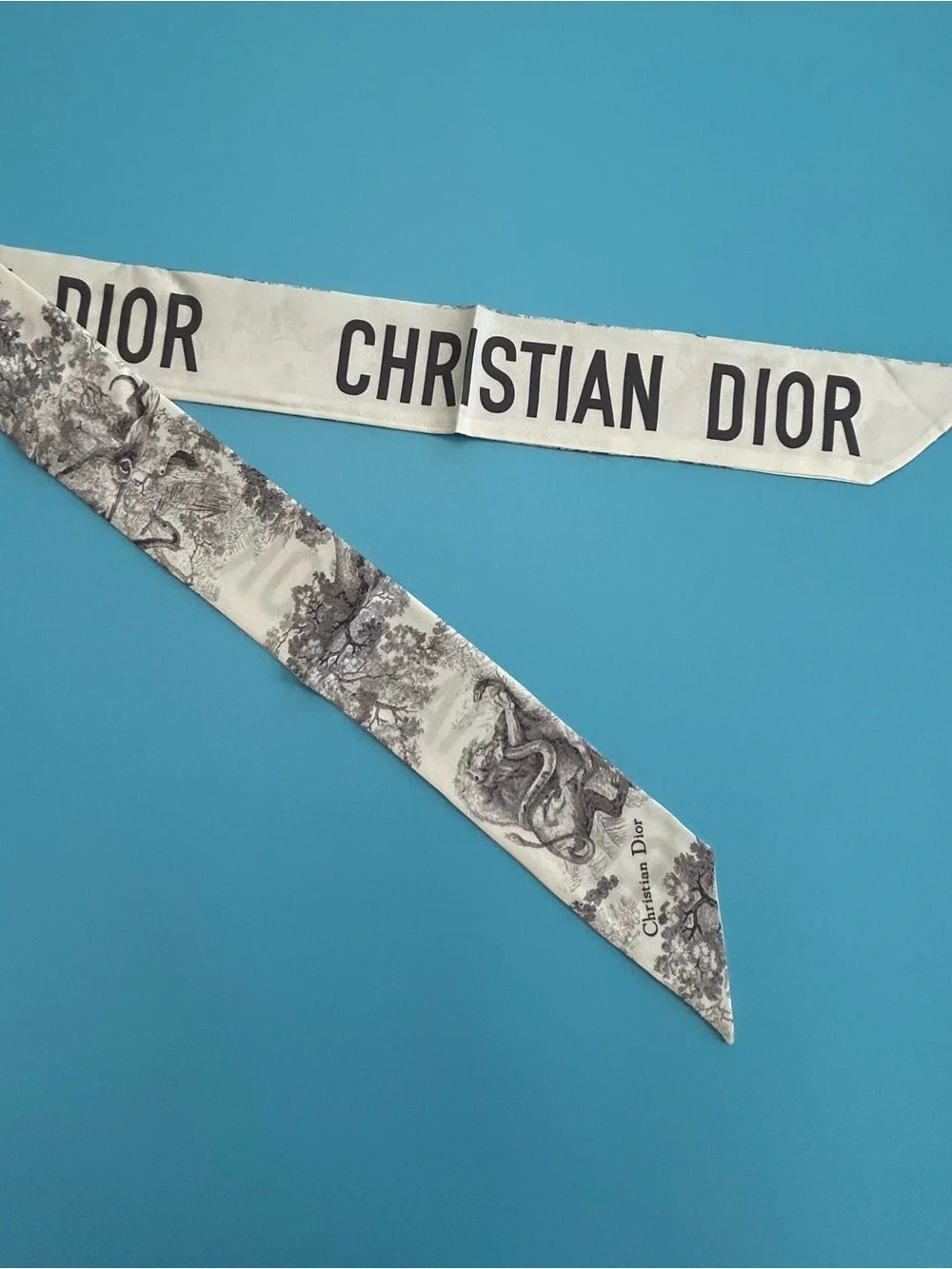 Christian Dior Logo Toile Silk Scarf - White & Black